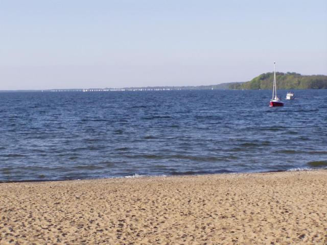 Bild-Thumbnail